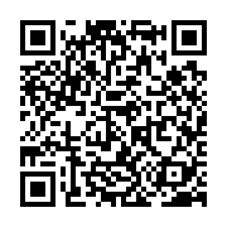 QR code for RO3729