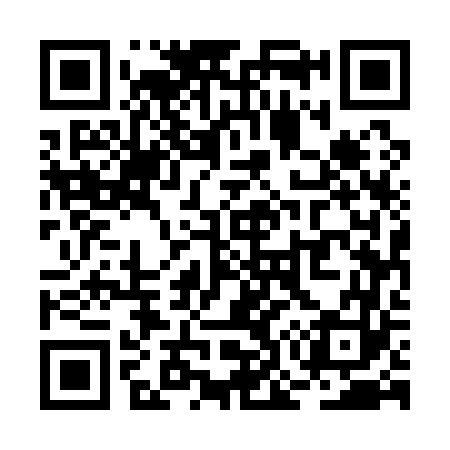 QR code for RO5163