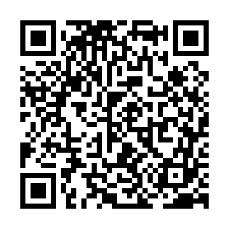 QR code for RO7163