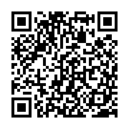 QR code for RO9541