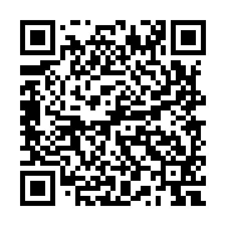 QR code for RP0993