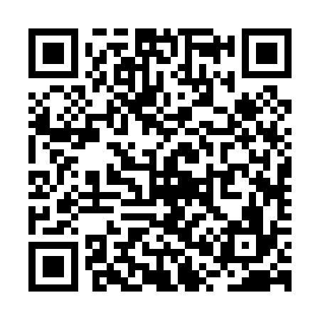 QR code for RP2036