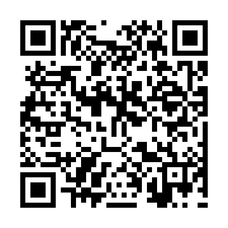 QR code for RP6386