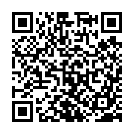 QR code for RP6667
