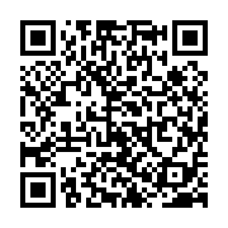 QR code for RP9119