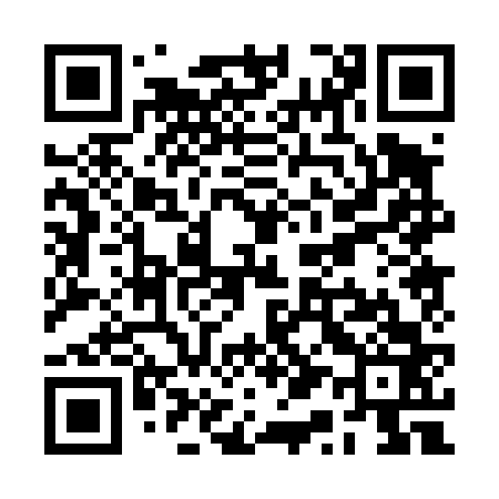 QR code for RQ0463