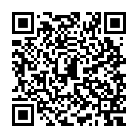 QR code for RQ2393
