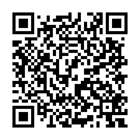 QR code for RQ9509