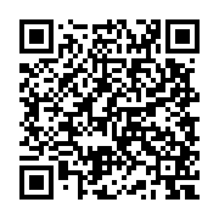 QR code for RR4541