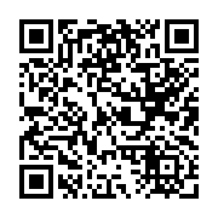 QR code for RS8393