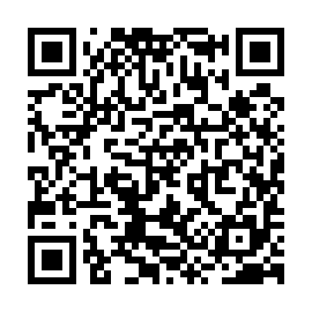 QR code for RS9595
