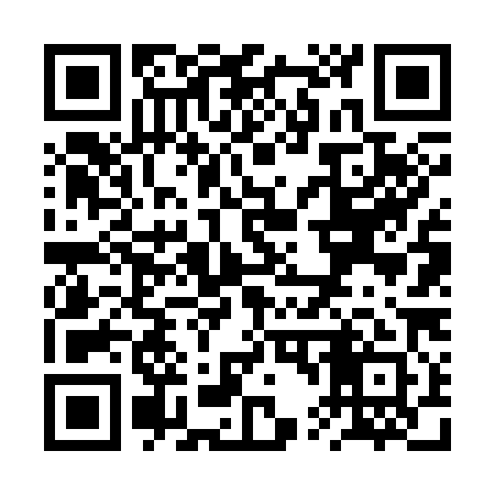 QR code for RT6381