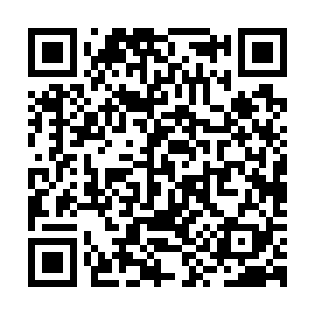 QR code for RY0729