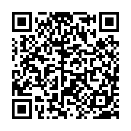 QR code for RY8295