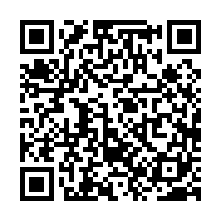 QR code for RZ0161