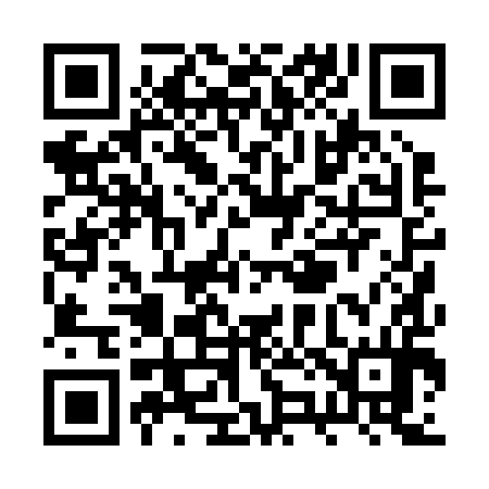 QR code for RZ0294