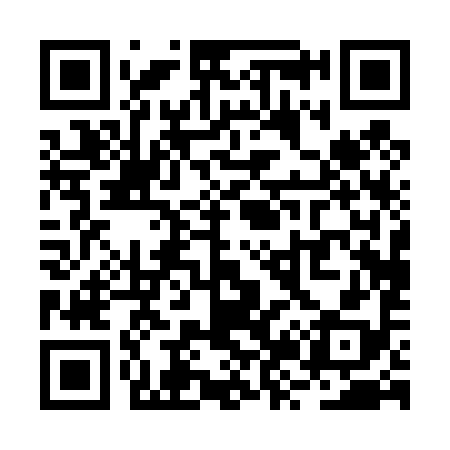 QR code for RZ0498