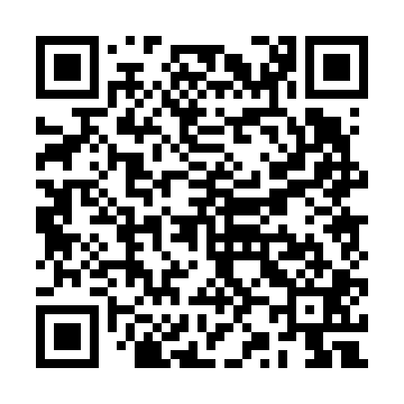 QR code for RZ0601