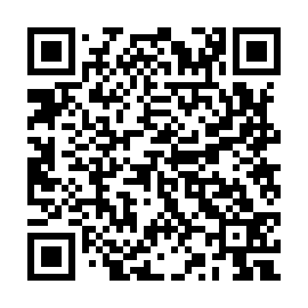 QR code for RZ2933
