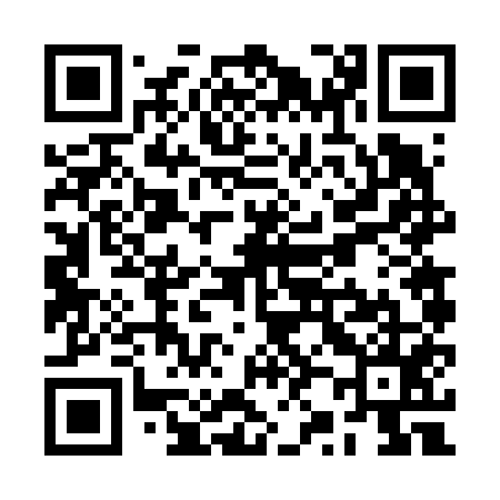 QR code for RZ6655