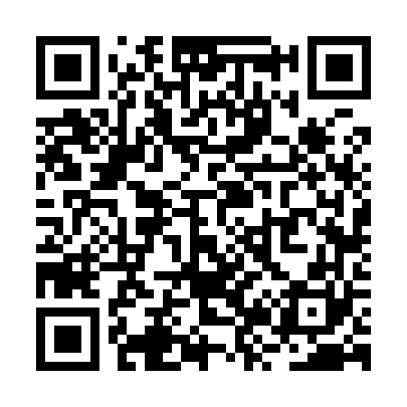 QR code for RZ6960