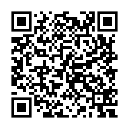 QR code for RZ8919