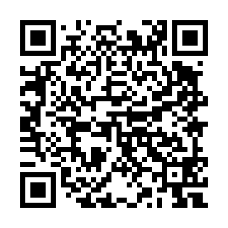 QR code for RZ9498