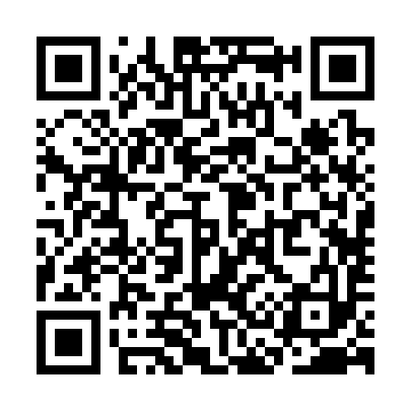 QR code for SC2393