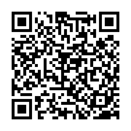 QR code for SD9501