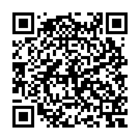 QR code for SG0313