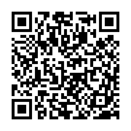 QR code for SG2463