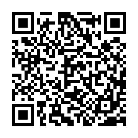 QR code for SI0517