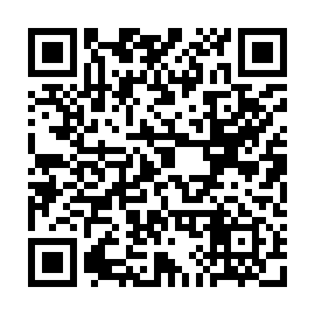 QR code for SI0919