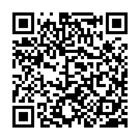 QR code for SI2928