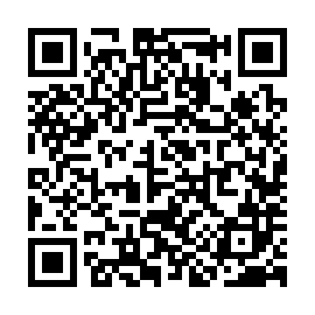 QR code for SI6382