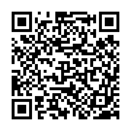 QR code for SI6653