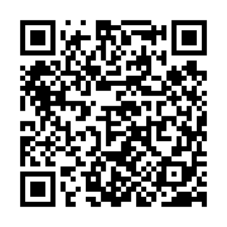 QR code for SI9658