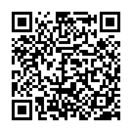 QR code for SI9801