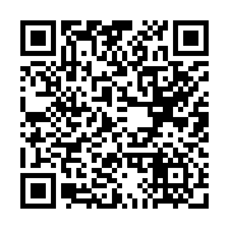 QR code for SI9917