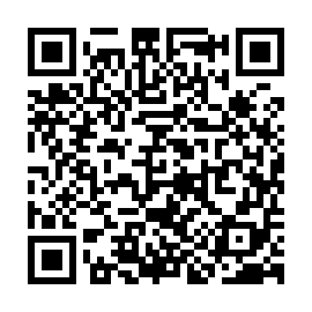 QR code for SI9958