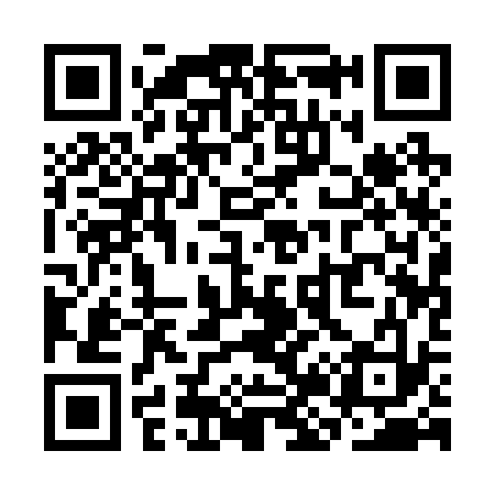 QR code for SJ1233