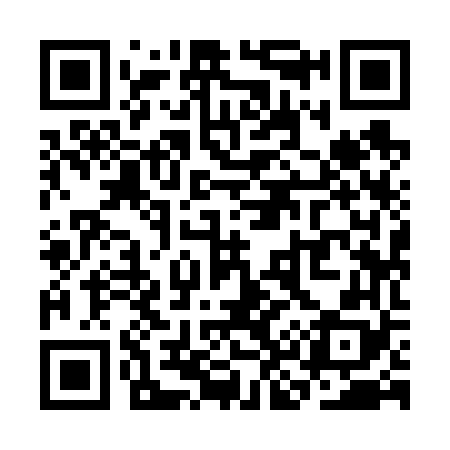 QR code for SK9668