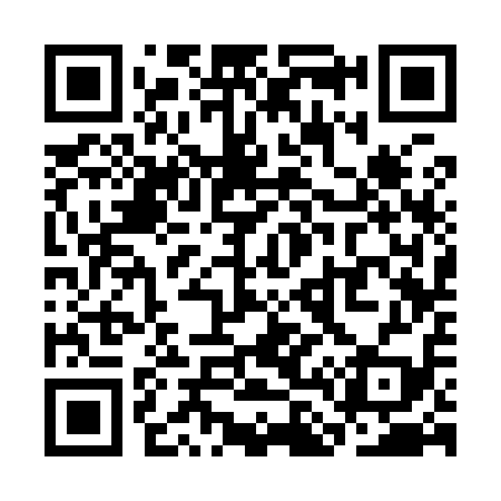 QR code for SL3919