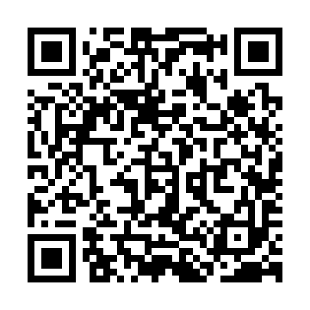QR code for SL6393