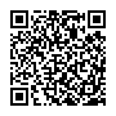 QR code for SL8617