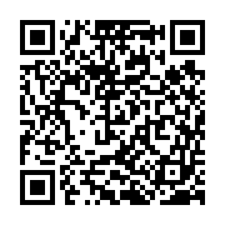 QR code for SL9653