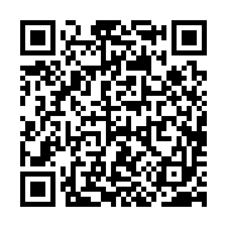 QR code for SM0393