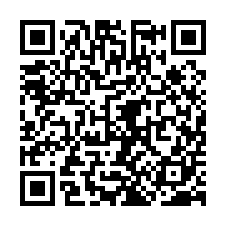 QR code for SN1100