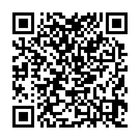 QR code for SN1333