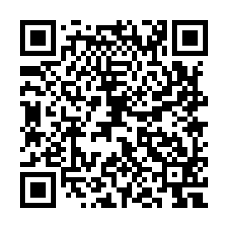 QR code for SN1993